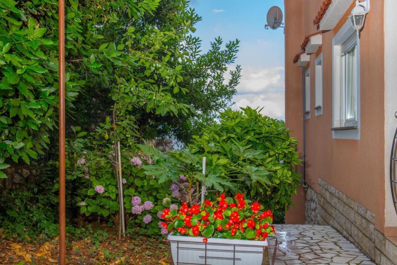 Apartments Zorica دْغاماي المظهر الخارجي الصورة
